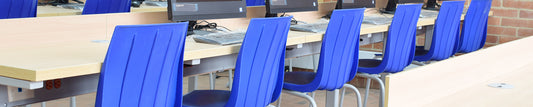 Instituto Alberto Merani