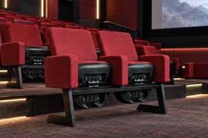 Silla Auditorio Spoty