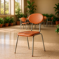 Silla CompuKinder