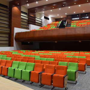 Silla Auditorio D38